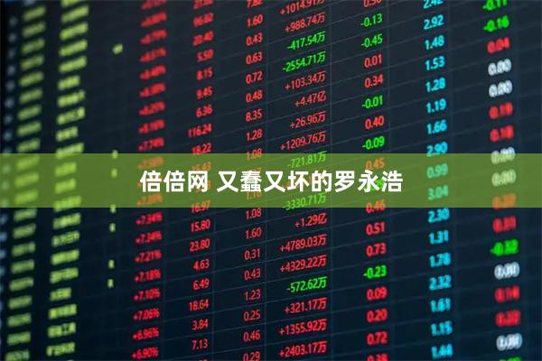 倍倍网 又蠢又坏的罗永浩