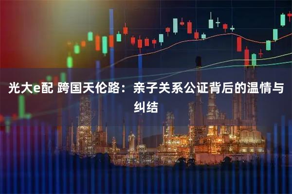 光大e配 跨国天伦路：亲子关系公证背后的温情与纠结