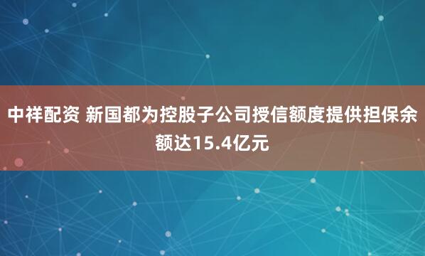 中祥配资 新国都为控股子公司授信额度提供担保余额达15.4亿元