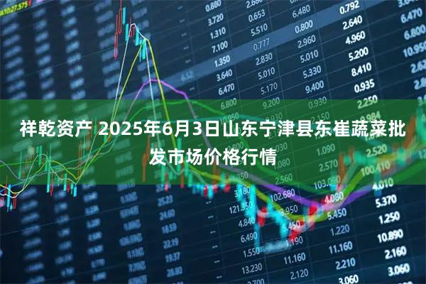 祥乾资产 2025年6月3日山东宁津县东崔蔬菜批发市场价格行情