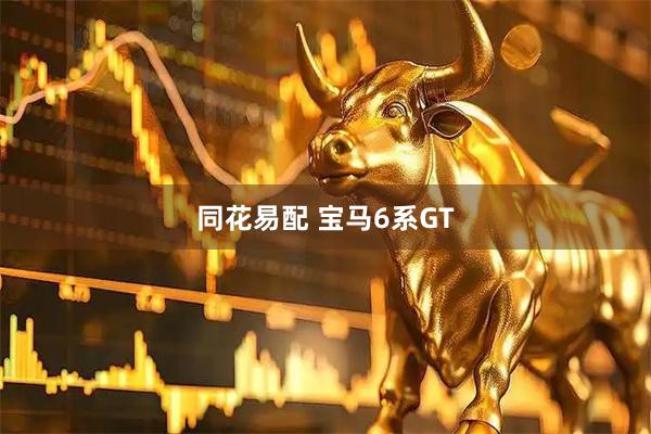 同花易配 宝马6系GT