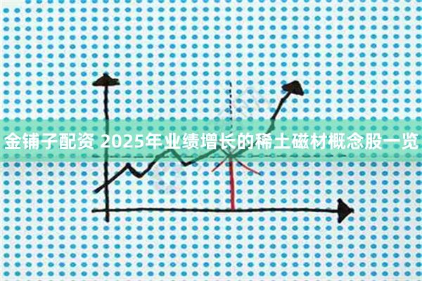 金铺子配资 2025年业绩增长的稀土磁材概念股一览