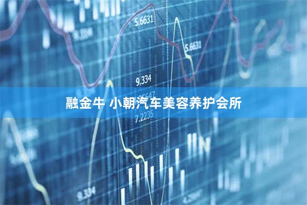 融金牛 小朝汽车美容养护会所