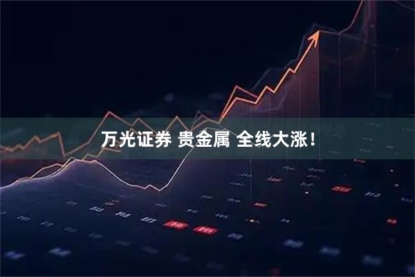万光证券 贵金属 全线大涨！
